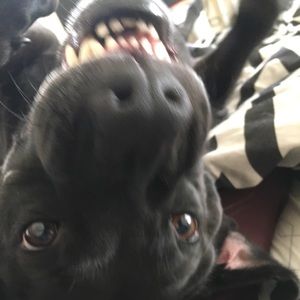 Meet your Posher, Marco